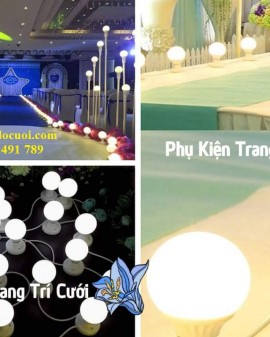 Đèn trang trí sân khấu tiệc cưới dây led bóng tròn 5m